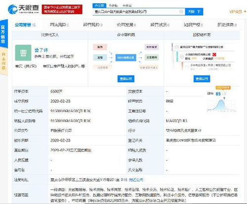 小米落子重慶，成立產融大數據公司，布局區塊鏈與數據處理服務